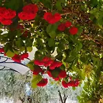 Mit Schoenem Garten Und Sonnenterrasse By Interhome * Medulin