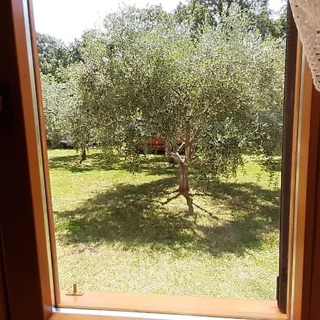 Holiday home Mit Schoenem Garten Und Sonnenterrasse By Interhome