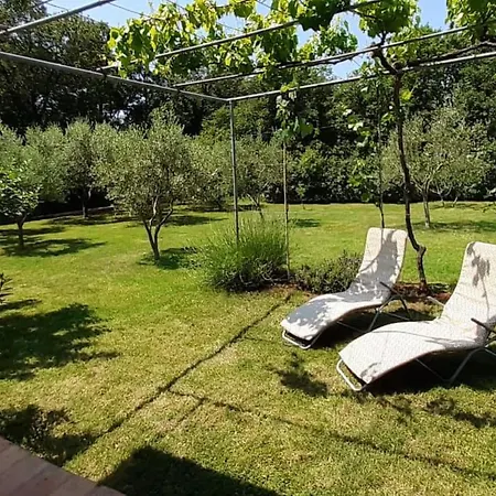 Mit Schoenem Garten Und Sonnenterrasse By Interhome Medulin