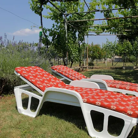 Mit Schoenem Garten Und Sonnenterrasse By Interhome 梅杜林