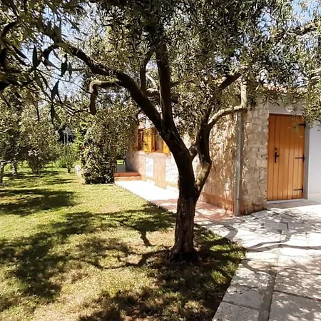 Mit Schoenem Garten Und Sonnenterrasse By Interhome Casa vacanze Medolino