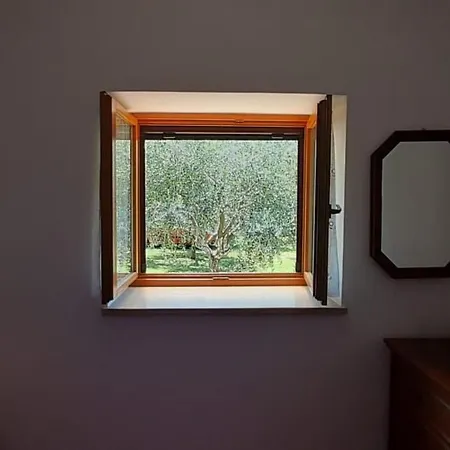 Mit Schoenem Garten Und Sonnenterrasse By Interhome *