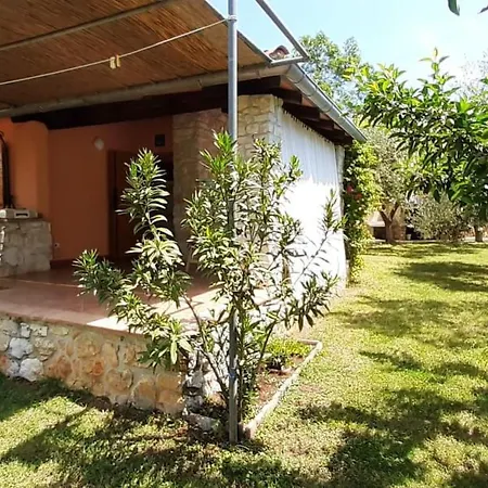 Mit Schoenem Garten Und Sonnenterrasse By Interhome Medolino