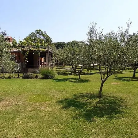 度假居 Mit Schoenem Garten Und Sonnenterrasse By Interhome *
